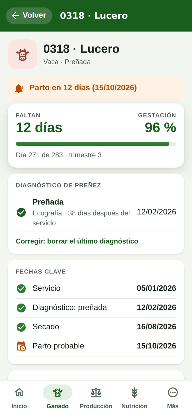 Ficha reproductiva de una vaca preñada en el teléfono: faltan 12 días para el parto, gestación al 96 %