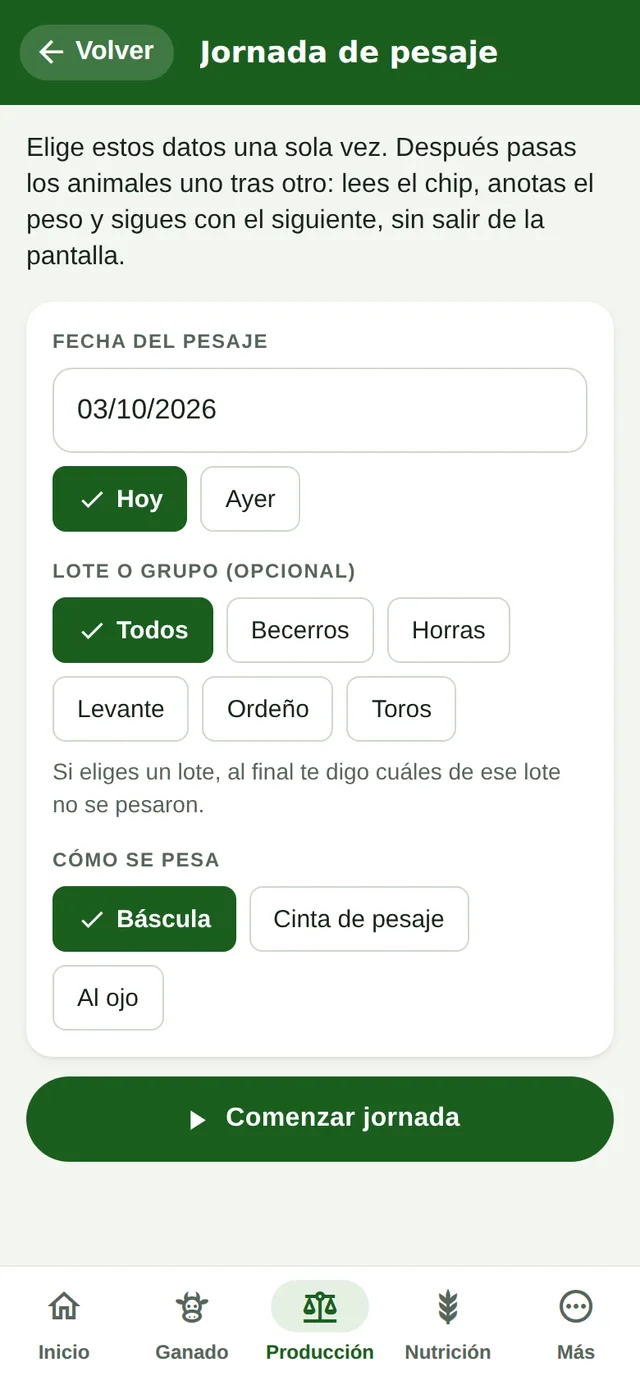 Inicio de una jornada de pesaje en el teléfono: fecha, lote y forma de pesar