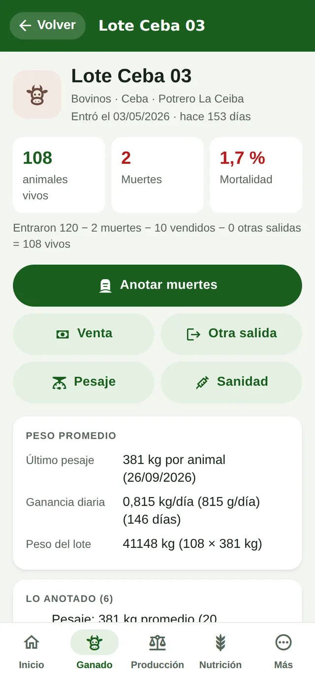 Lote Ceba 03 en el teléfono con animales vivos, muertes, mortalidad y peso promedio